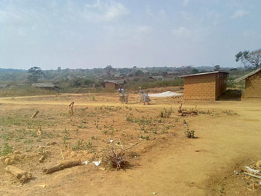 village, 2014
